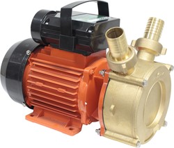 Mostrar informações para Bomba de Transfega - 750W Imagem de Bomba de Transfega - 750W